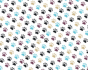 vector Paw print with deferent colors