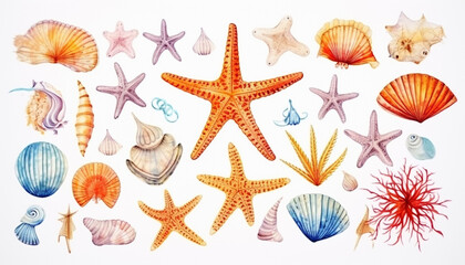 Watercolor starfish shells crabs seahorse