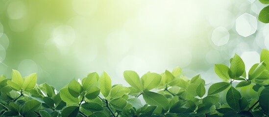 Lush green tree leaves frame a soft blurred background with a dreamy light effect, enhancing the vibrant hues of nature in springtime.