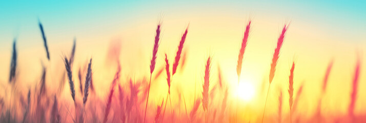 A tranquil field of tall grasses gently swaying in a golden sunset glow, illustrating simple pastora