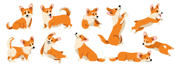 Cute corgi dog. Cartoon funny puppy, adorable doggie domestic animals in different cutie poses and situations, comic welsh dogs mascots. Vector flat set