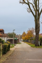 Quiet tree‑lined street with houses in soft autumn light, small town