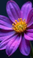 Purple flower pollen grains on wet stem surface, stem, purple, wet