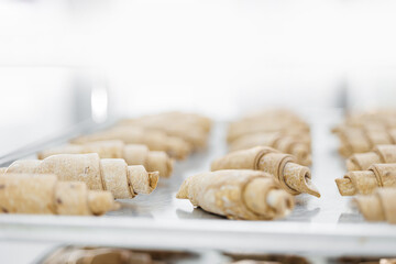 Raw croissants on baking tray in factory setting
