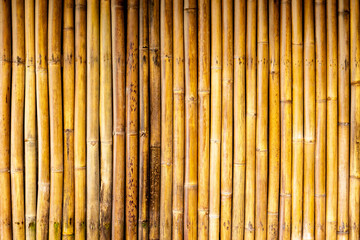 Natural bamboo wall texture with vertical poles in varying shades