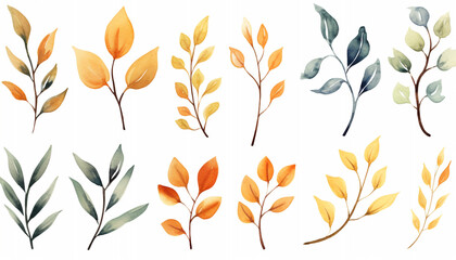 autumn leaves background