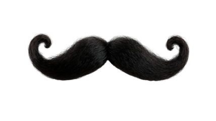 stylish black mustache with curled ends, perfect for adding character