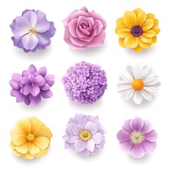 set of flowers isolated