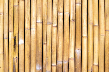 Natural bamboo texture background with vertical stalks in warm tones