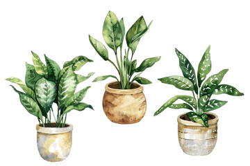 Vivid green watercolor houseplants vector collection. Indor plants in pots drawing set.