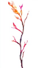 Fototapeta premium Vibrant Watercolor Branch Art