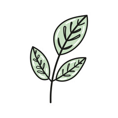 Hand-drawn branch with green leaves doodle and flat illustration