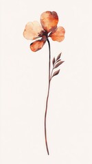 Delicate Watercolor Flower Art Print