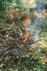 autumn leaves on the ground, bonfire