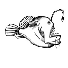 Fototapeta premium Angler fish, Fish, hand-drawn pencil drawing, illustration, black, transparent background, PNG, food fish
