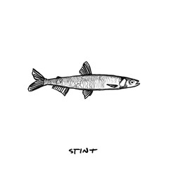 Smelt fish, Fish, hand-drawn pencil drawing, illustration, black, transparent background, PNG, food fish
