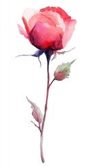 Stunning Watercolor Rose Painting: A Vibrant Floral Masterpiece