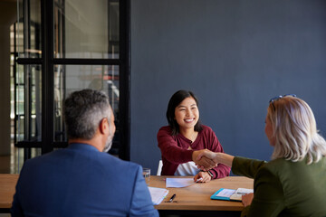 Business handshake agreement after job interview