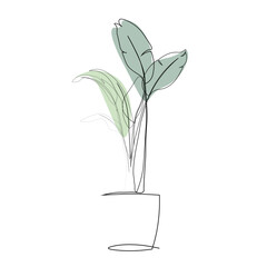 plant in a pot line art