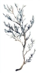 Obraz premium Elegant Watercolor Branch Art: A Delicate Botanical Illustration