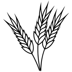 Barley Outline Vector Illustration