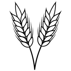 Barley Outline Vector Illustration