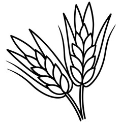 Barley Outline Vector Illustration