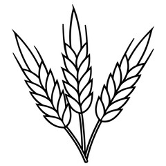 Barley Outline Vector Illustration