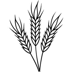 Barley Outline Vector Illustration