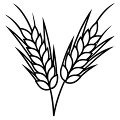 Barley Outline Vector Illustration