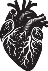 Obraz premium Human heart silhouette vector illustration isolated on a white background