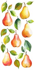 A collection of watercolor pears with green leaves on a white background.