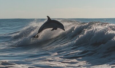 Fototapeta premium Dolphin leaping from ocean waves on a sunny day