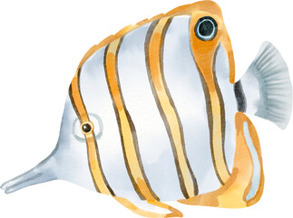 watercolor butterflyfish