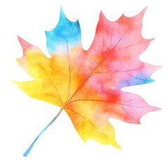 Vibrant Watercolor Maple Leaf Autumn Colors Fall Foliage Design Element ,isolate transparent  background