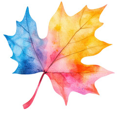 Vibrant Watercolor Maple Leaf Autumn Colors Nature Design Element ,isolate transparent  background