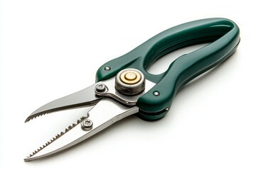 Fototapeta premium High-Quality Green Pruning Shears for Efficient Garden Tasks. Durable and Compact Garden Tool. Perfect for Plant Care and Maintenance.