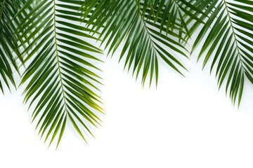 Naklejka premium Backgrounds outdoors nature plant.