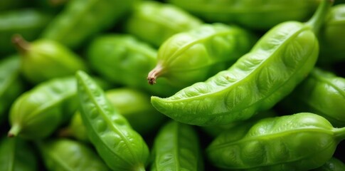 Close-up of cardamom pods with intricate texture and veins, kitchen ingredient, spice