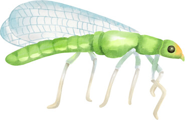 watercolor dragonfly