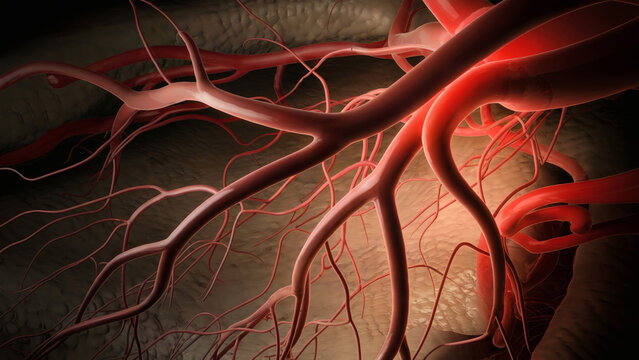 Blood cells flow through the blood vessels.