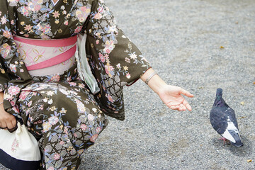 日本の美しい着物姿の女性と鳩/A beautiful Japanese woman in a kimono and a pigeon