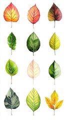 Obraz premium Autumn Leaves Watercolor Illustration - Vibrant Seasonal Foliage