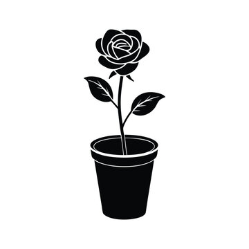 recommend clip art: silhouette rose in pot