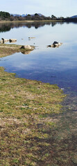 Calm lakeside view on a clear day with gentle ripples reflecting surrounding rocks and grassy shore