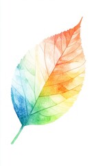 Fototapeta premium A Stunning Watercolor Leaf, Vibrant Colors and Autumnal Beauty
