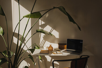 Cozy Home Office Workspace with Natural Light