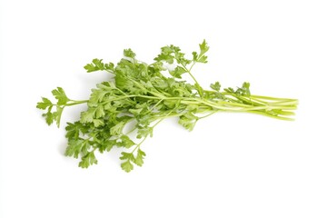 Obraz premium Vibrant organic parsnip showcasing its fresh and natural beauty against a pristine white background in a professional studio setting