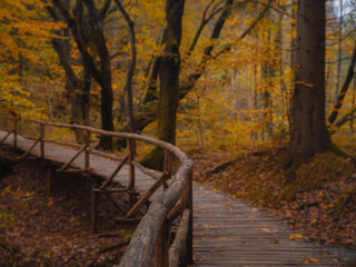 Fototapeta premium Wooden walkpath in Plitvice National Park. Splendid autumn in forest with pure water lake. Picturesque landscape of Croatia, Europe. Beauty of nature concept background.