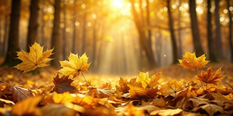 Golden leaves scattered on a forest floor, fall foliage, forest floor, fallen leaves, landscape photography, changing seasons